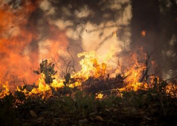 Синоптики попереджають про надзвичайну пожежну небезпеку на Дніпропетровщині