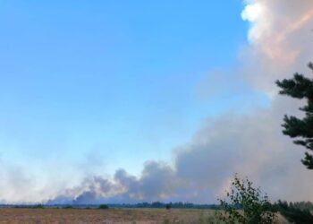 Скрізь тримається стійкий запах згарища: мер Новомосковську повідомив про ситуацію у районі