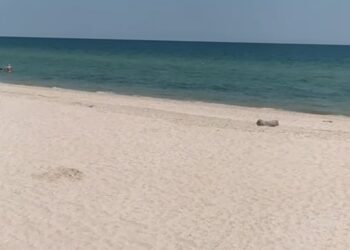Ні туристів, ні медуз: у Мережі показали безлюдні пляжі Кирилівки