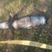 Гатили з “Торнадо-С по центру житлового масиву: нові побробиці ранкового обстрілу Кривого Рогу