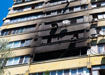 У Дніпрі на пожежі загинули собачка та два коти
