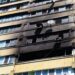 У Дніпрі на пожежі загинули собачка та два коти