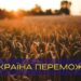 Доба минула без обстрілів: ситуація в області на вечір