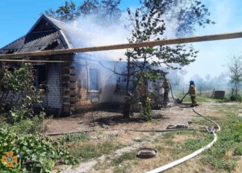 На пожежі у Криворізькому районі загинуло немовля   