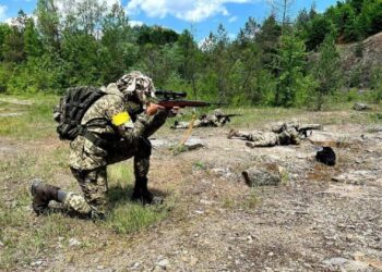 Контрнаступ ЗСУ: на криворізському напрямку визволили два населених пункти