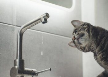 У Дніпрі цілий житловий масив і кілька вулиць залишилися без води