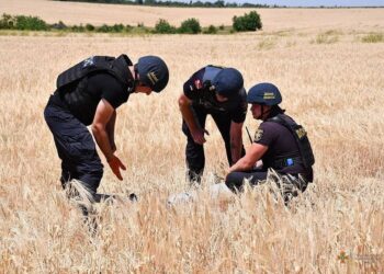 За добу піротехніки знищили 33 ворожих снаряди у Криворізькому районі    