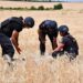 За добу піротехніки знищили 33 ворожих снаряди у Криворізькому районі
