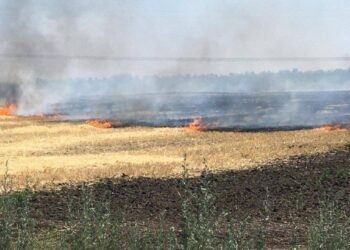 Обстріли та масштабні пожежі: ситуація в області на вечір