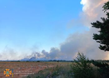 Рятувальники приборкали пожежу у лісі під Новомосковськом