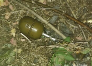 На пляжі у Павлоградському районі затримали чоловіка з гранатою 