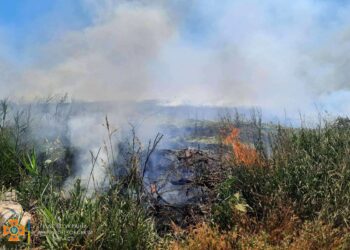 З початку року на Дніпропетровщині вогнем знищено понад 3 тисячі гектарів екосистем