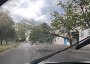 У Дніпрі на Поля дерево впало на тролейбусні дроти