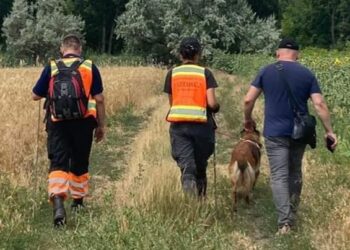 Таємниче зникнення: на Дніпропетровщині знову відновили пошуки 6-річного хлопчика