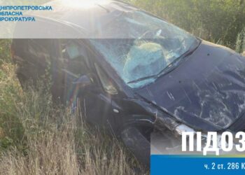 Затримали водія, який вбив 10-річну дитину у Криворізькому районі
