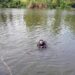 Водолази-рятувальники не знайшли зниклого 6-річного хлопчика 