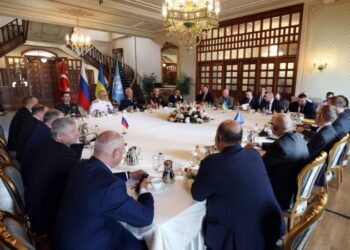 У Стамбулі почались переговори про розблокування українського зерна