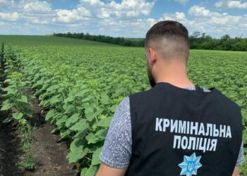 У Кривому Розі поліцейські викрили наркогородників