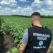 У Кривому Розі поліцейські викрили наркогородників