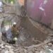 У Нікополі з-під завалів будинку дістали тіла двох загиблих