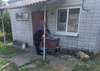 На Дніпропетровщині продовжуються пошуки 6-річного Василя Подкуйка 