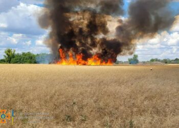 Через обстріл Криворізького району згоріло 50 гектарів полів (ФОТО)