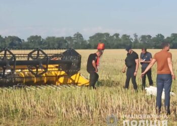 Знайдено труп дитини: офіційна інформація від поліції