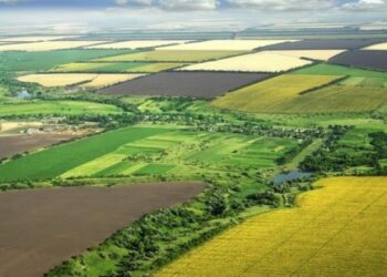 На Дніпропетровщині у “чорних” аграріїв відібрали 124 га землі 