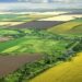На Дніпропетровщині у “чорних” аграріїв відібрали 124 га землі 
