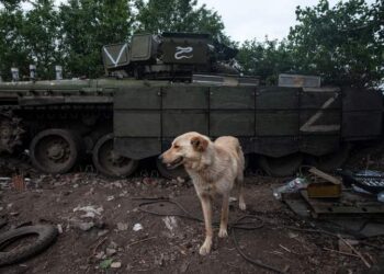 Холодноярці показали, як українізують трофейний танк орків (ФОТО) 