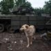 Холодноярці показали, як українізують трофейний танк орків (ФОТО)