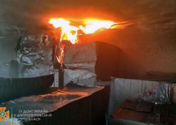 У Дніпрі через пожежу ледь не згорів приватний будинок