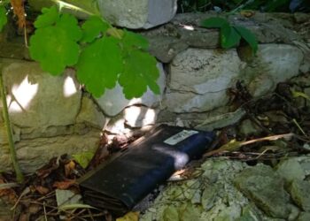 У Верхівцевому затримали неповнолітнього карманника 