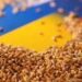 Єгипет розірвав контракт з Україною щодо постачання 240 тисяч тон зерна