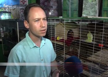 Зворушливий зоопарк у Дніпрі