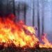 На Дніпропетровщині оголошено надзвичайну пожежну небезпеку