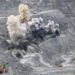 У Кривому Розі буде чутно потужний вибух