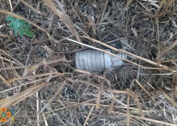 У Дніпропетровській області піротехніки знищили 33 одиниці сучасних вибухонебезпечних предметів