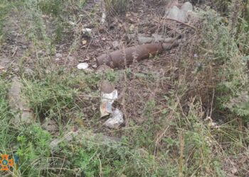 На Дніпропетровщині піротехніки знищили більше 50 боєприпасів (ФОТО)