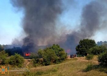 Вогнеборці Дніпропетровщини занепокоєні кількістю пожеж в екосистемах