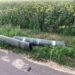 Військова адміністрація області показала “подарунки” від ворожих “Ураганів” (ФОТО) 
