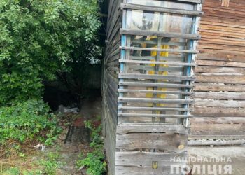 Резонансне вбивство у Дніпрі: тіло 49-річного чоловіка розчленували та ховали у дворі 