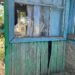 Окупанти обстріляли Зеленодольську громаду: поранено 73-річного чоловіка