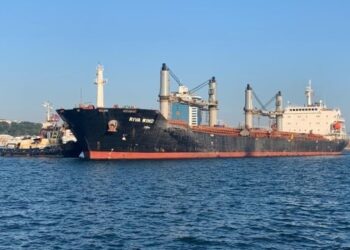 З українських портів вийшло ще чотири судна з продовольством