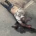 У Дніпрі посеред вулиці виявили труп чоловіка (ФОТО 18+)