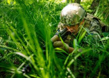 ЗСУ знищили ворожий склад боєприпасів та опорний пункт на Криворізькому напрямку