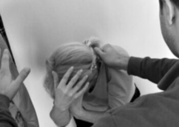 Дніпрянин проведе 15 років за ґратами за жорстоке вбивство матері на очах у дітей