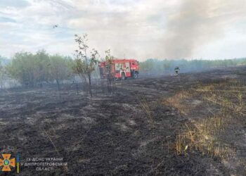 Майже 2 години вогнеборці гасили сухостій у Дніпрі 