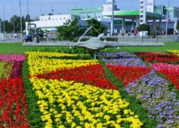 До Дня Незалежності у Києві створили квітковий «Байрактар» 