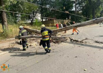 У Дніпрі повалене дерево пошкодило лінію електропередач та перекрило рух транспорту 